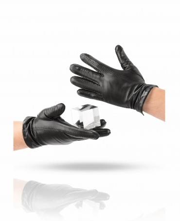 Перчатки Мужские 100_HOLLAND/BL//11